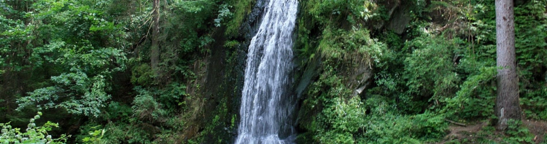 Autumn landscape around Pension Kaminek