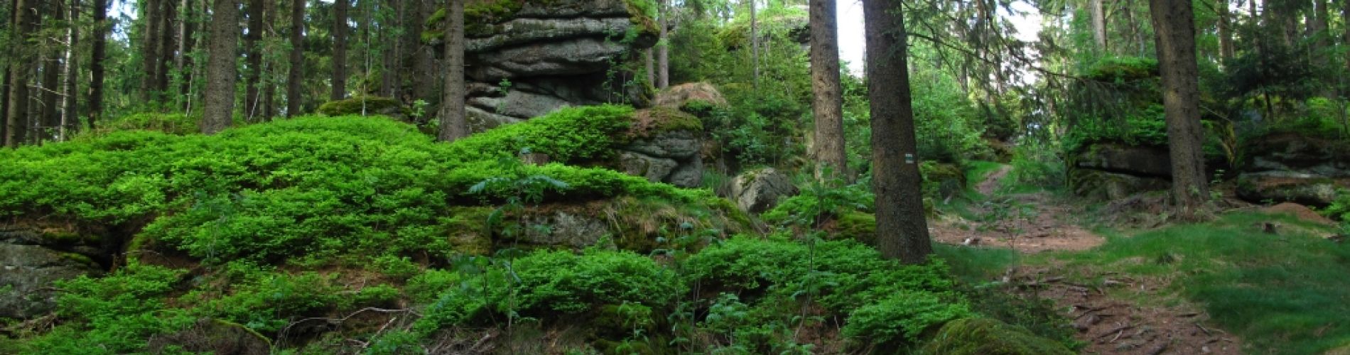 Autumn landscape around Pension Kaminek