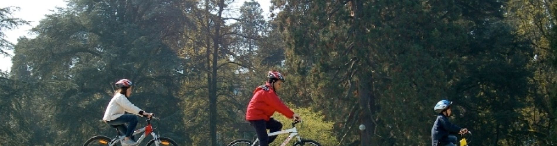 Autumn landscape around Pension Kaminek