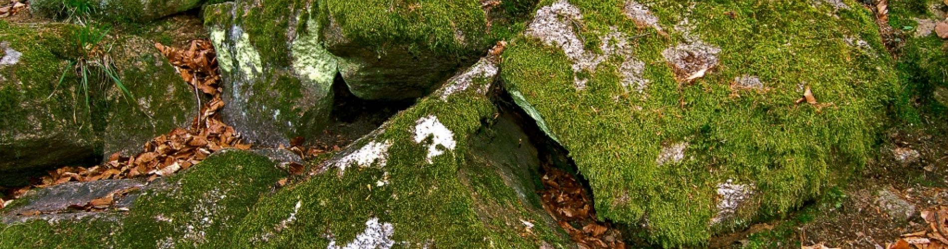 Autumn landscape around Pension Kaminek