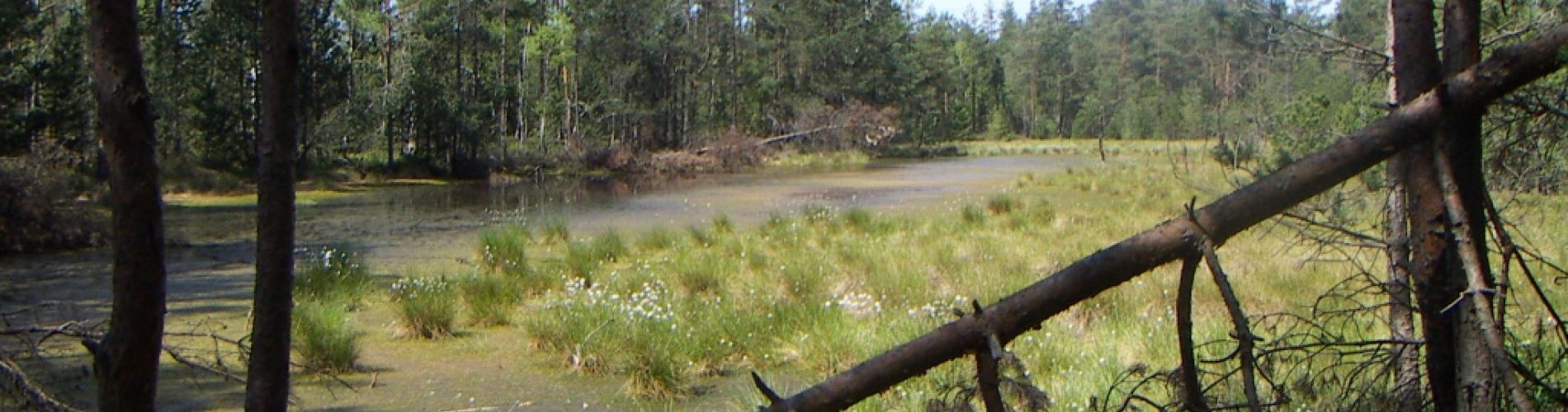 Autumn landscape around Pension Kaminek