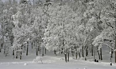 Lyžování v Karlstift