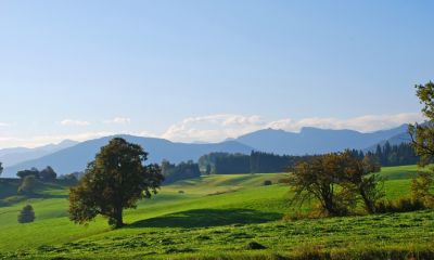 Rozhledna Kraví Hora