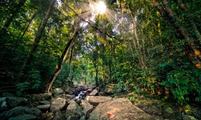 Přírodní park Novohradské Hory